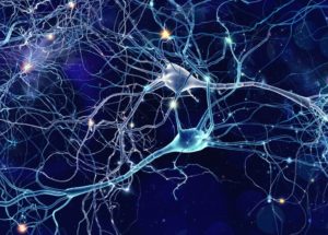 A Unique Type Of Signal Discovered In The Human Brain