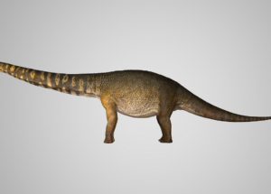 Newly Found Australian Dinosaur Species – Australotitan, 70 tons and up to 98 feet in size