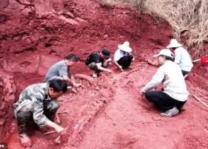 Huge Dinosaur Skeleton Dug Up In China! – Nearly 70% Intact Monster Dates Back To 180 million Years Ago!