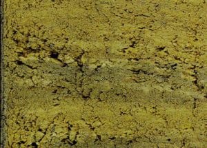 Study Shows “Dead Zones” Have Been Plaguing The Ocean For Longer Than Previously Believed