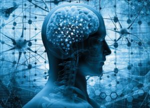 Study Shows Memories Are Played Back At Huge Speeds When Learning New Skills