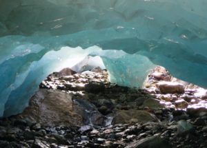Arctic Animal Brought Back To Life After Being Frozen For 24 Thousand Years In Permafrost!