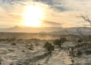 California’s Deserts Are Starting to Lose All the Vegetation, New Study Explains