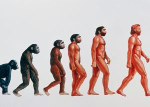 Newfound Type of Prehistoric Human Leaves Scientists Speechless