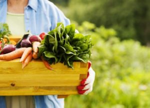 Raw Food Diets: The Good, Bad and Ugly