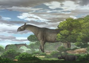 Palaeontologists Discover the Largest Land Mammal That Ever Existed