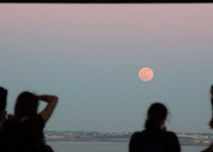 Don’t Miss the Last Supermoon of 2021