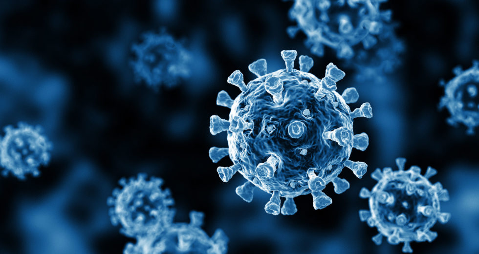 New WHO Team Of Scientists Will Investigate The Origins Of COVID-19