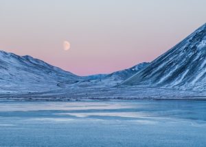 High-concentrations of Forever Chemicals Found in the Arctic: What to Expect