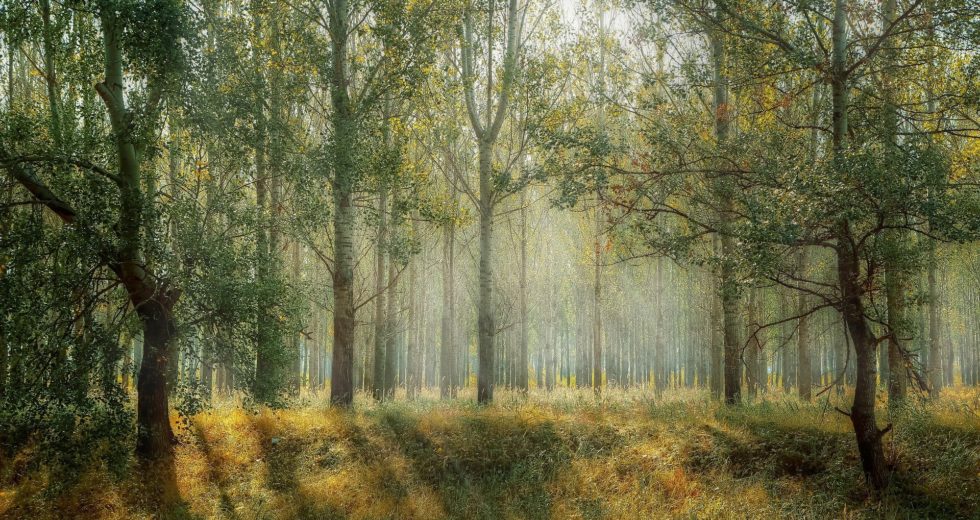 Astronomers Find Component of Phospholipid in Space – Key Discovery for Life’s Origin?