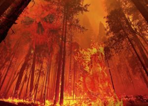 Wildfires From the US and Canada are Pushing Resources to the Limit – 1.2 Million Acres Burned