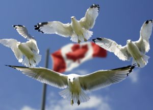 Canada To Start Admitting Vaccinated Americans