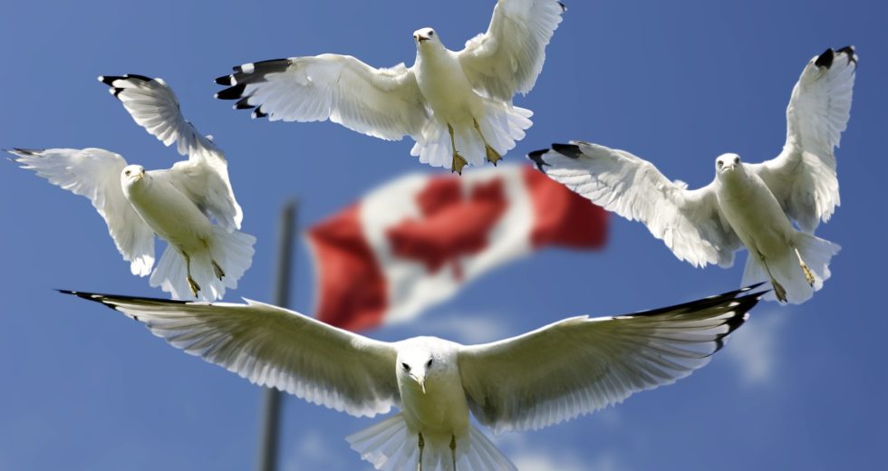 Canada To Start Admitting Vaccinated Americans