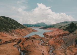 Raising Temperatures and Ozone Levels Affect Soils and Plant Roots, New Study Finds
