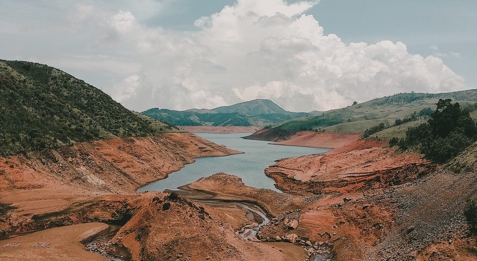 Raising Temperatures and Ozone Levels Affect Soils and Plant Roots, New Study Finds