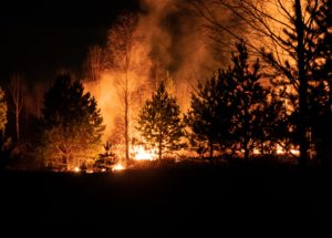 A New Year’s Miracle? No Deaths Were Reported After the Wildfire From Colorado