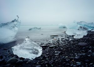 Climate Conditions During the Final Dinosaur-Era May Be Determined From Fossil Leaves