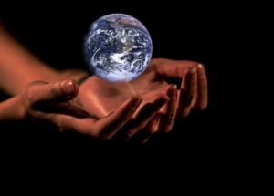 New Study Claims That Humans Are to Blame for Worst Ocean Extinction Event Since the Chicxulub Asteroid