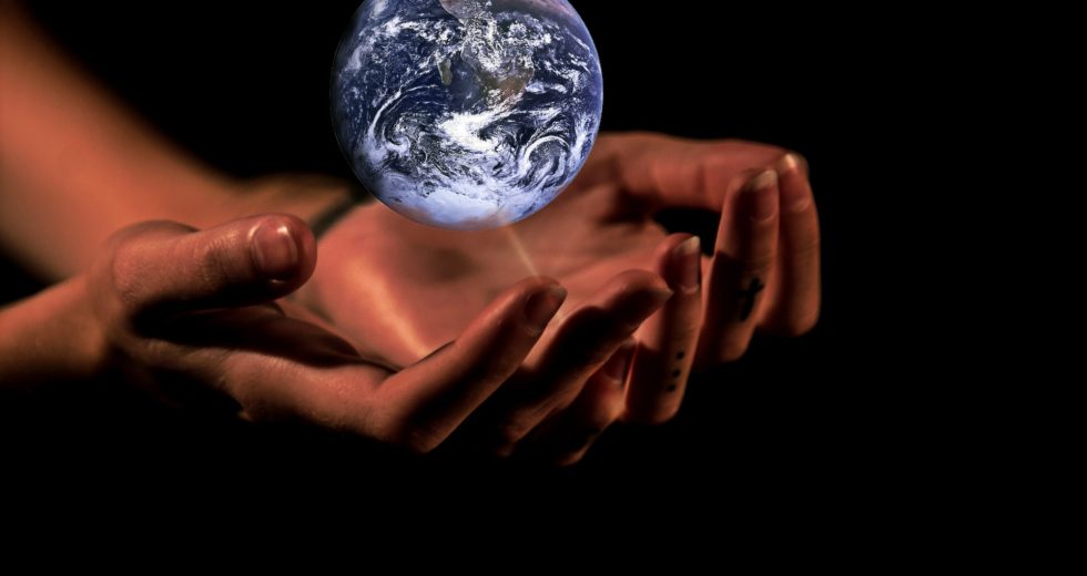 New Study Claims That Humans Are to Blame for Worst Ocean Extinction Event Since the Chicxulub Asteroid