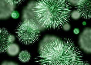 Melioidosis Bacterial Infection Confirmed in the U.S