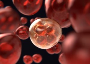 New Drug Proves To Be Effective Against Prostate Cancer