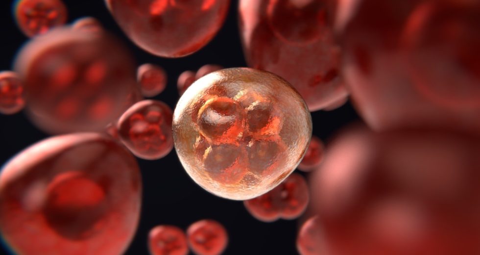 New Drug Proves To Be Effective Against Prostate Cancer