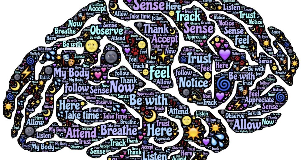 Quantum Physicist Explains How Consciousness Can Shape Our Reality