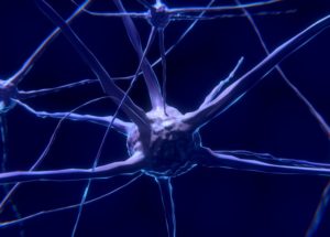Research On Memory Storage By Synthetic Cells Makes A Major Step Forward