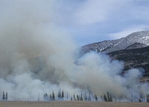 Smoke From Faraway Wildfires Can Still Damage Your Health, Study Shows