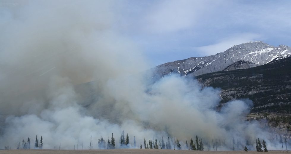 Smoke From Faraway Wildfires Can Still Damage Your Health, Study Shows