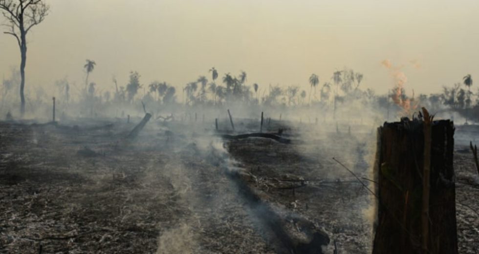 See How the Amazon’s Fires and Deforestation Have Become an Issue to Public Health