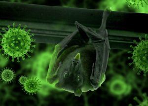 New Type of Coronavirus ‘NeoCov’ Emerges in Bats