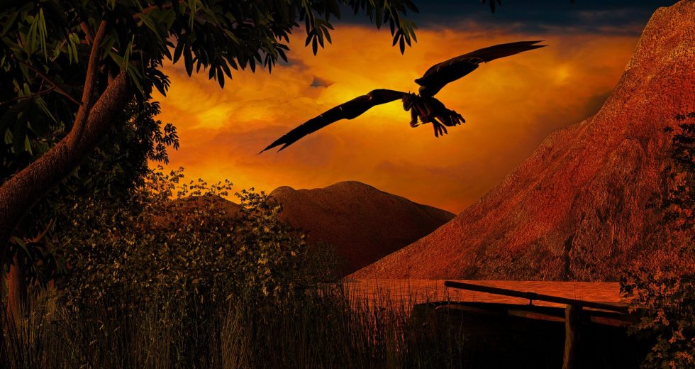 Newfound Skull Reveals “Real Life Dragon”