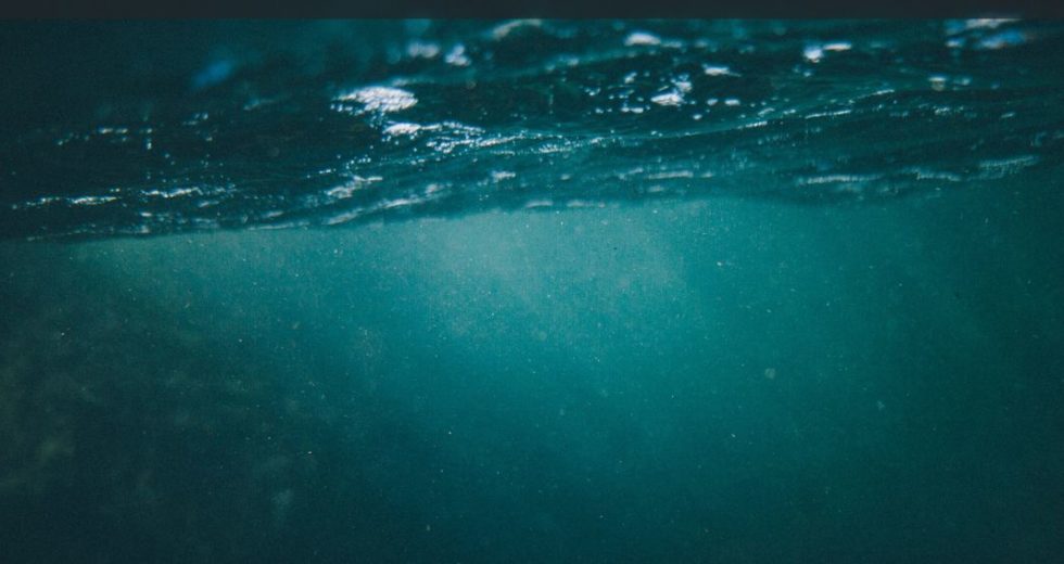 The Arctic Ecosystem Contains Microplastics, New Research Finds