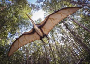 Incredibly-Well Preserved Fossil of Flying Reptile Grants New Insight Regarding Pterosaurs
