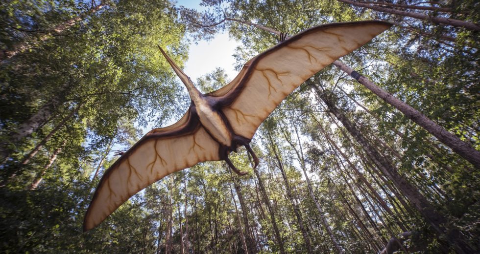 Incredibly-Well Preserved Fossil of Flying Reptile Grants New Insight Regarding Pterosaurs