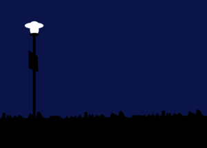 Insect Population Declines Also Occur Due to LED Streetlights