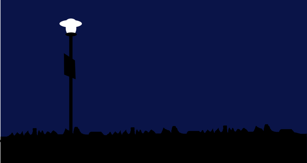 Insect Population Declines Also Occur Due to LED Streetlights