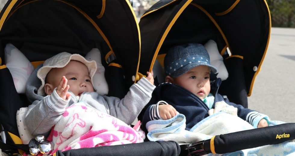 Best 9 Double Strollers For Twins And Triplets