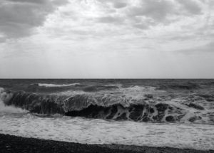 Massive Oil Slick Threatens the Black Sea: WWF’s Report Details