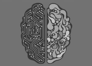 Can We Predict the Brain Age With AI? EEG Signals New Studies