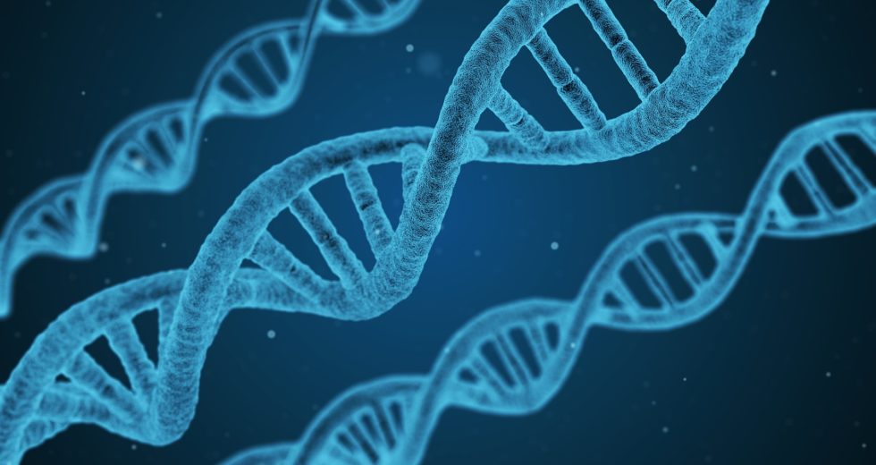Autoimmune Diseases Are Common For 9/11 Survivors – Is There A Link?