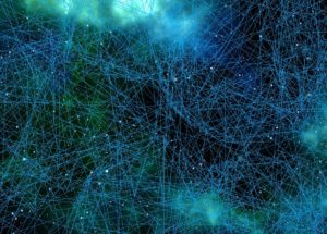 Researchers Discover New Brain Reward Circuitry