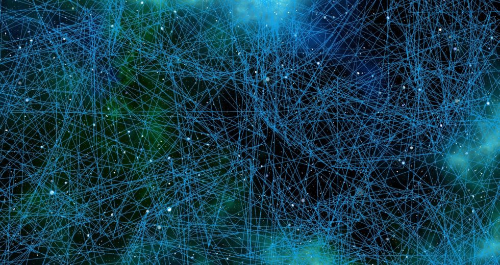 Researchers Discover New Brain Reward Circuitry