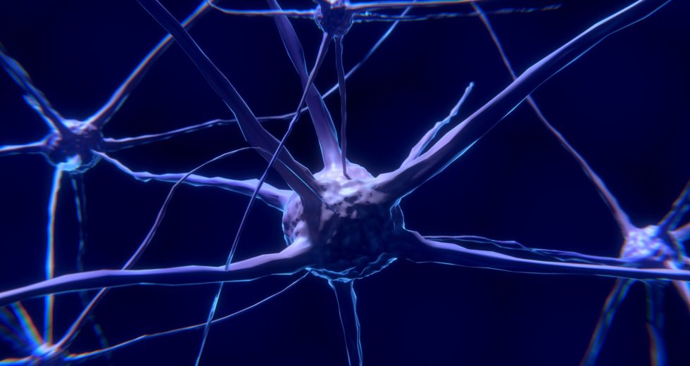 Research Suggests That There May Be a Link Between Long COVID in Children and Neuropsychiatric Issues