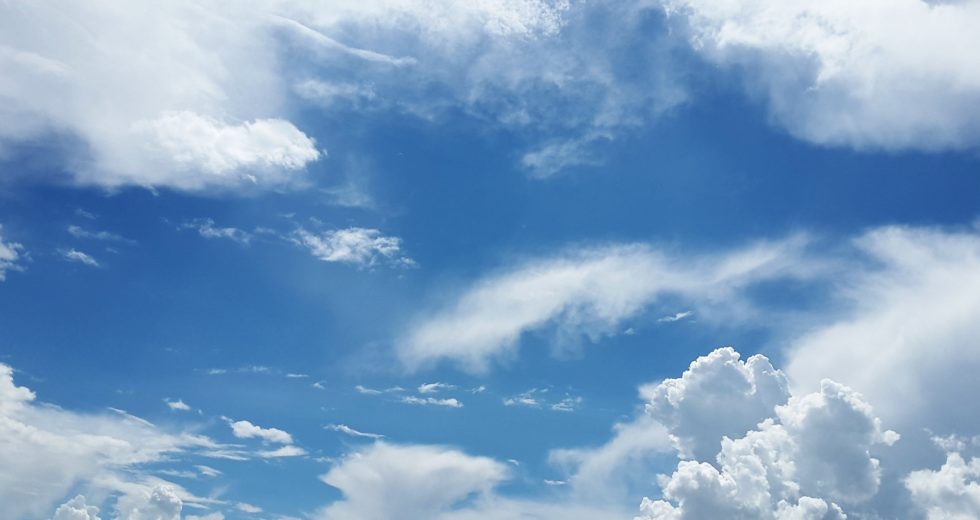 Modified Creature Doesn’t Need to Breathe Anymore