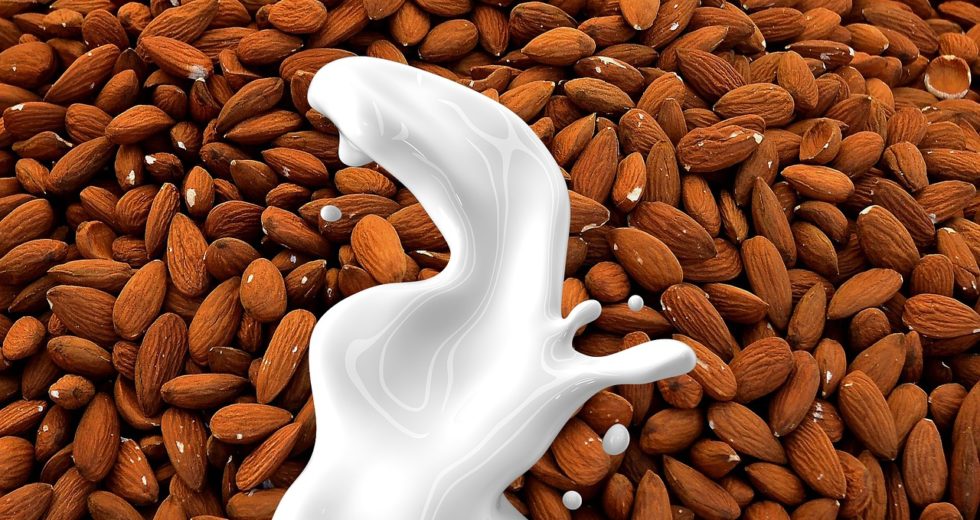 Almonds Are Good For Your Digestive System, New Study Finds