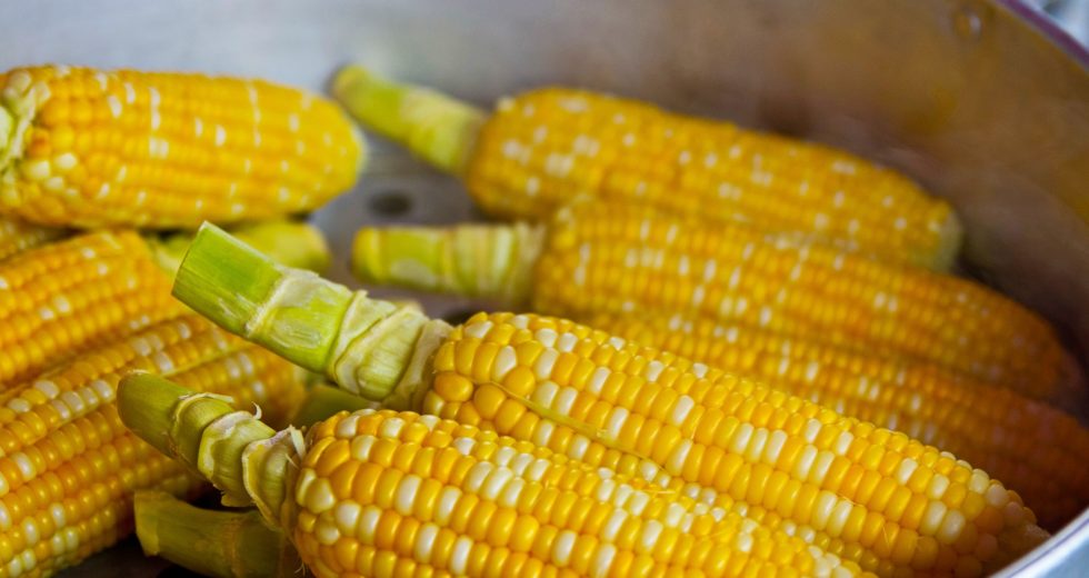 Eating Corn Can Benefit Our Bodies in Surprising Ways