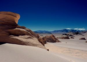 Chilean Scientists Discover “Dragon Fossil”