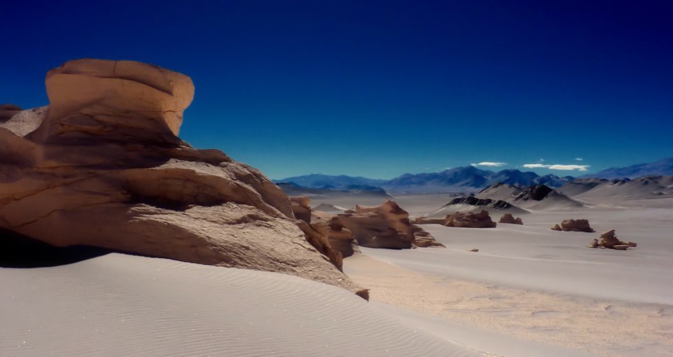 Chilean Scientists Discover “Dragon Fossil”